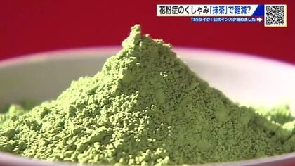 花粉症のくしゃみ「抹茶」で軽減！？　広島大学がメカニズムを研究　医療費の削減効果に期待