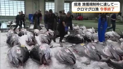 境港の「クロマグロ漁」終了　漁獲枠に到達　今季は941トン　5年ぶりに1000トン下回る（鳥取）
