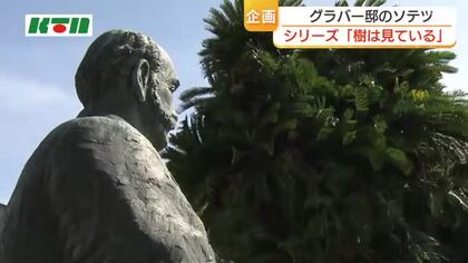 “グラバーが愛した”木や植物の物語　植樹から120年以上「グラバー邸のソテツ」