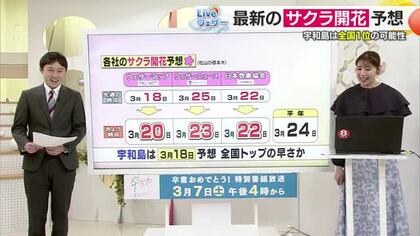 松山のサクラ開花は２０～２３日か　気象３社が最新予想　宇和島は１８日で全国トップの可能性【愛媛】