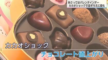 カカオ豆価格高騰がバレンタイン商戦を直撃 アレンジチョコ2割増で価格抑制と選択肢拡大