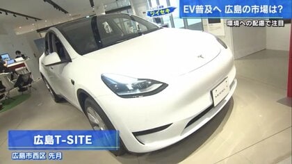 ひかるmamaさん専用　 ★GARAX EARTH★テスラナビ 20系 img_8761685cb51e4a5376b951cba7