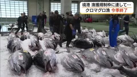 境港の「クロマグロ漁」終了　漁獲枠に到達　今季は941トン　5年ぶりに1000トン下回る（鳥取）