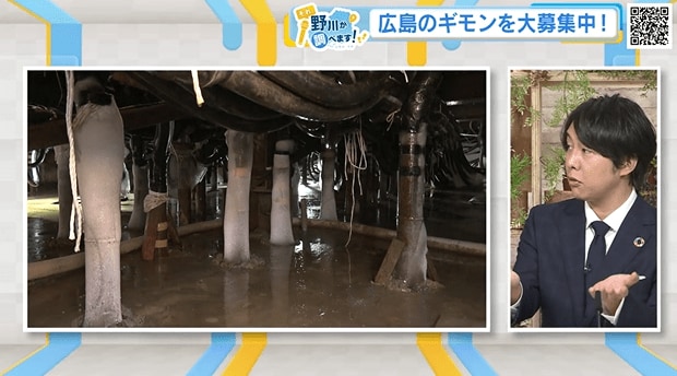 スタジオ・加藤キャスター