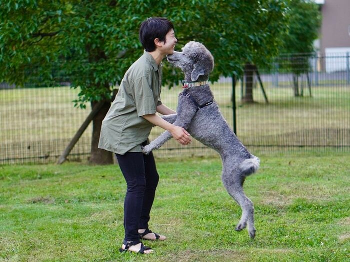 飼い主とイヌが再開した様子(画像提供:麻布大学獣医学部 永澤美保准教授)