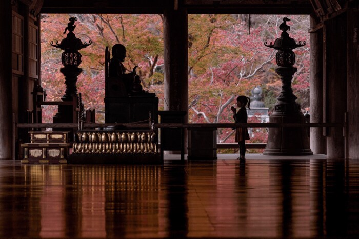 2016年11月撮影「秋の紅葉」