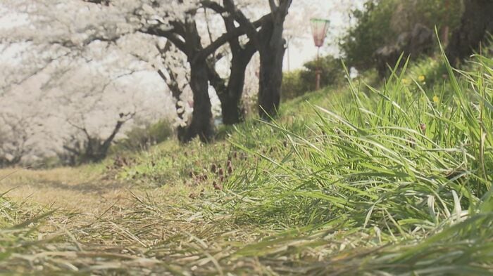 死んだ犬は河川敷に落ちていたものをくわえていたという