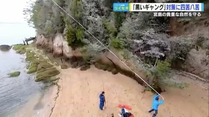 宮島・杉の浦地区の沿岸約300メートルに“テープ張り”
