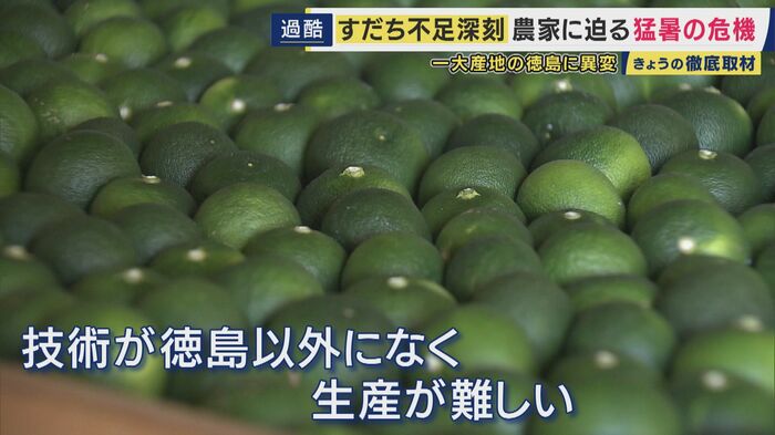産地が徳島に集中