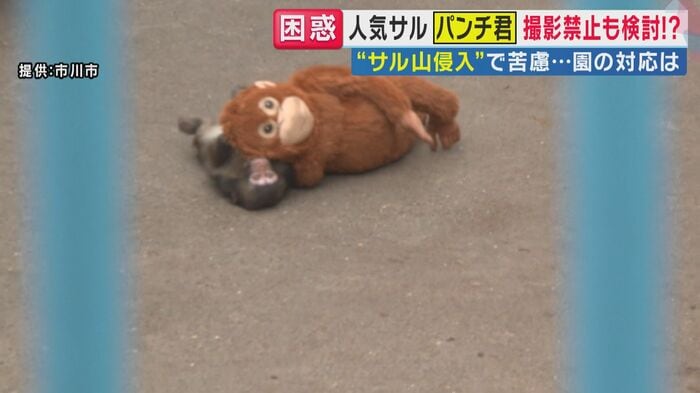 「パンチくん」