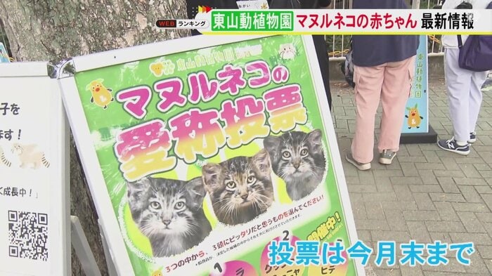 ニュースONE