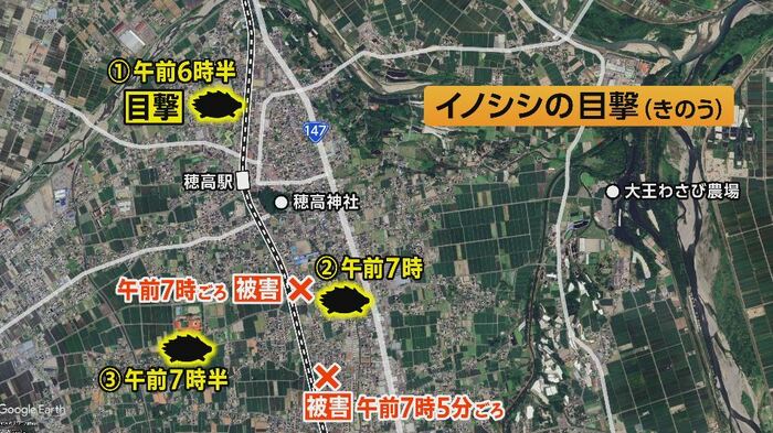 イノシシが目撃された場所