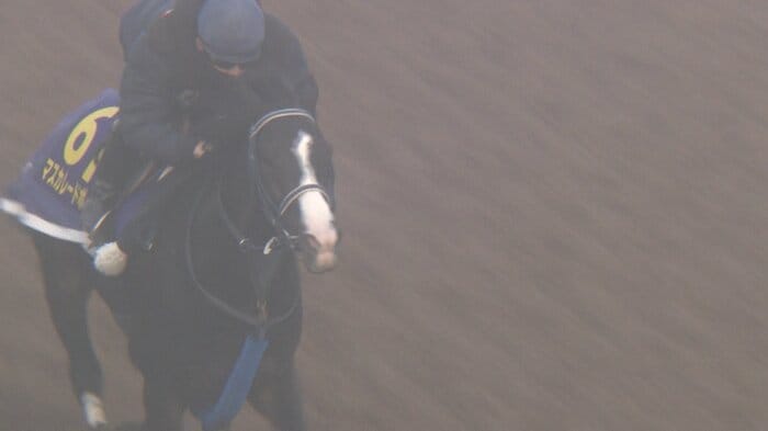 最終追い切りを行うマスカレードボール