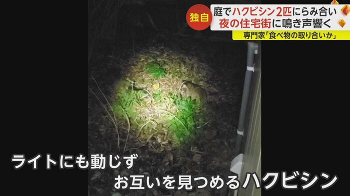 千葉・匝瑳市 午後10時ごろ(ビデオポストより)