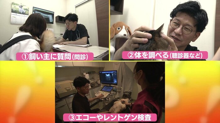 診察のプロセス