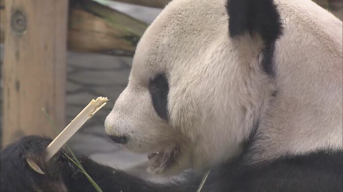永明