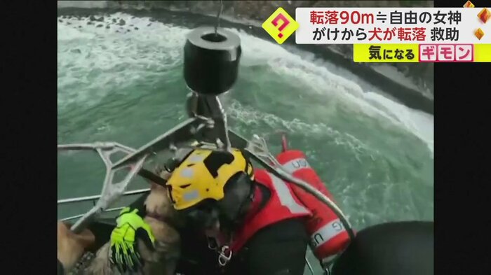 担架に乗せられヘリコプターで引き上げられる犬