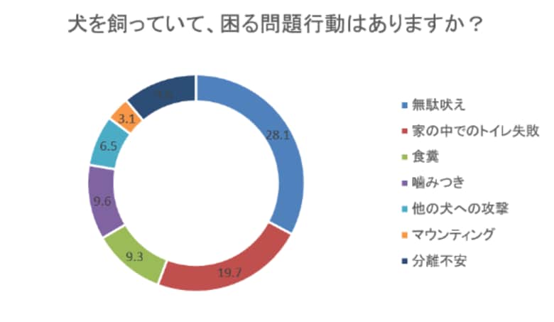 【飼い主にアンケート!】愛犬に関するお悩みを調査結果