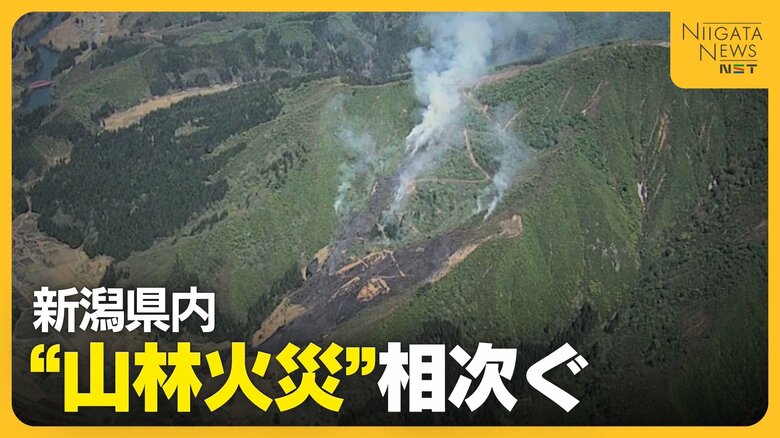 【山林火災】「戻ってきたら炎上していた…」ゴミを燃やして買い物へ　新潟・魚沼市でスキー場跡地が約35ha焼失　新潟県で”山林火災”相次ぐ｜FNNプライムオンライン