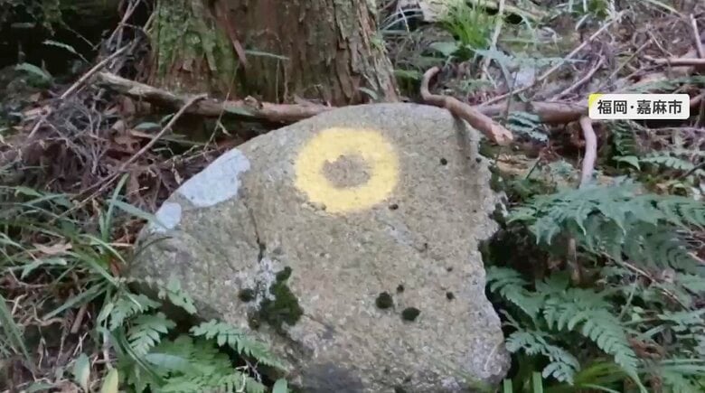「遭難につながる」登山道に“黄色のマーク”　岩や木に何カ所も…嘉穂アルプスなどで確認｜FNNプライムオンライン