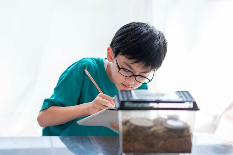 【2025年自由研究調査1.】子どもの8割が前向き!人気テーマと進め方を分析/いこーよ総研ユーザーアンケート