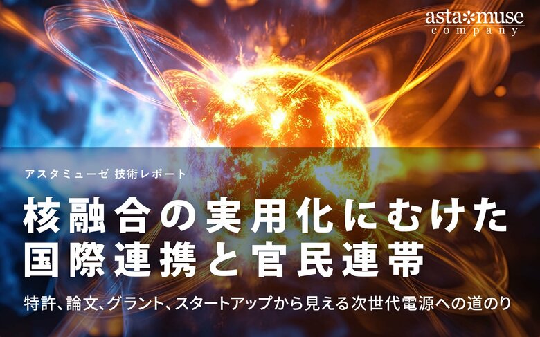 核融合の実用化にむけた国際連帯と官民連帯：特許、論文、グラント、スタートアップから見える次世代電源への道のり