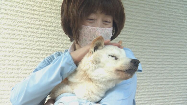 佐藤さんとティム