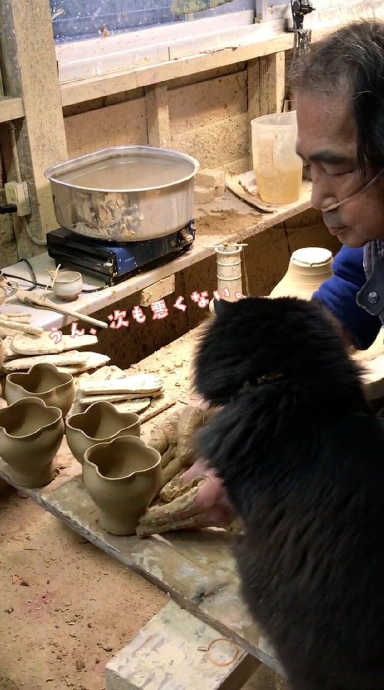 目の前に置かれてもイタズラしません