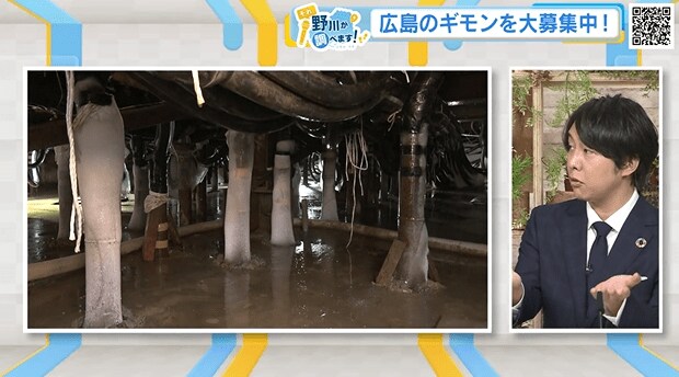 スタジオ・加藤キャスター