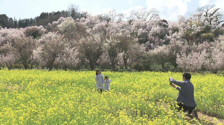 写真家も魅了する春景色