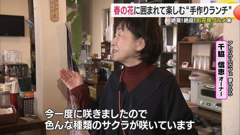 オーナーご自慢の特等席