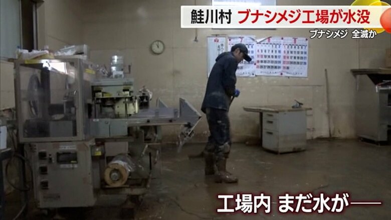 工場内はまだ水が溜まっている状況