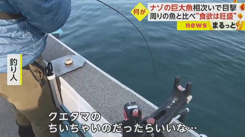 アタック開始から約1時間後、何かがかかったが