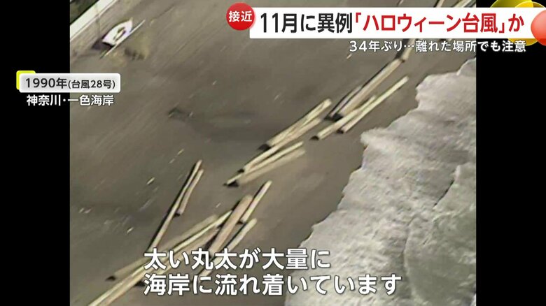 海岸に流れ着いた大量の丸太（1990年）