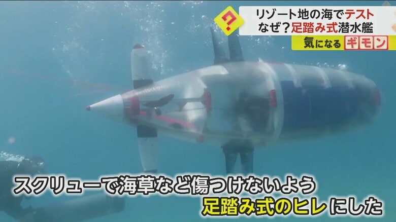 スクリューで海草などを傷つけないよう、足踏み式のヒレにしたという