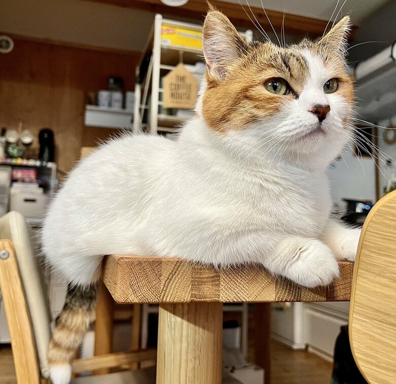 お尻が落ちてしまいそう…