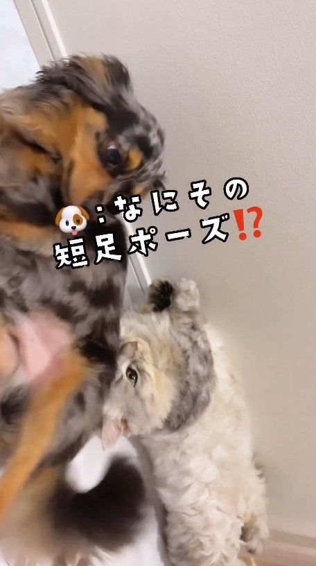 提供：チワックスの諭吉くん。さん