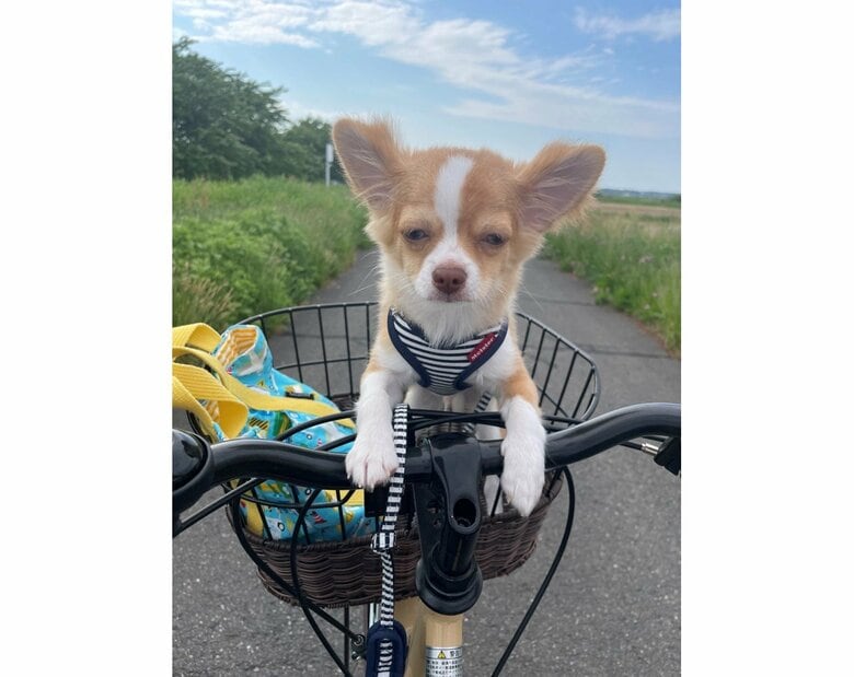 提供：ふくのすけさん