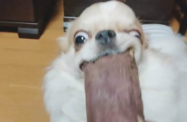必死な形相で食べていた