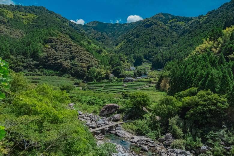 高知県仁淀川町長屋（2024年8月撮影） 