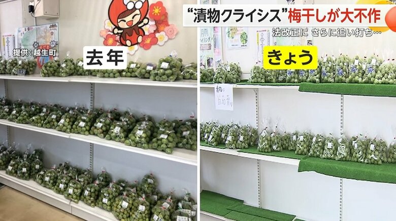 2023年と比較しても陳列棚に並ぶのは半分以下