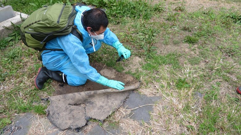 伊丹市の生息状況調査の様子（提供：伊丹市）