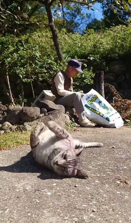 おじいちゃんのそばでリラックス