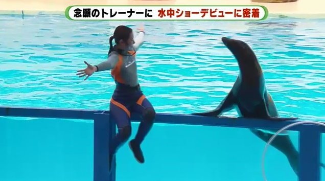 サニーとハグ　満足のショーができた