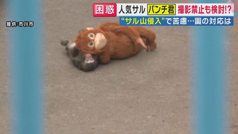 「パンチくん」