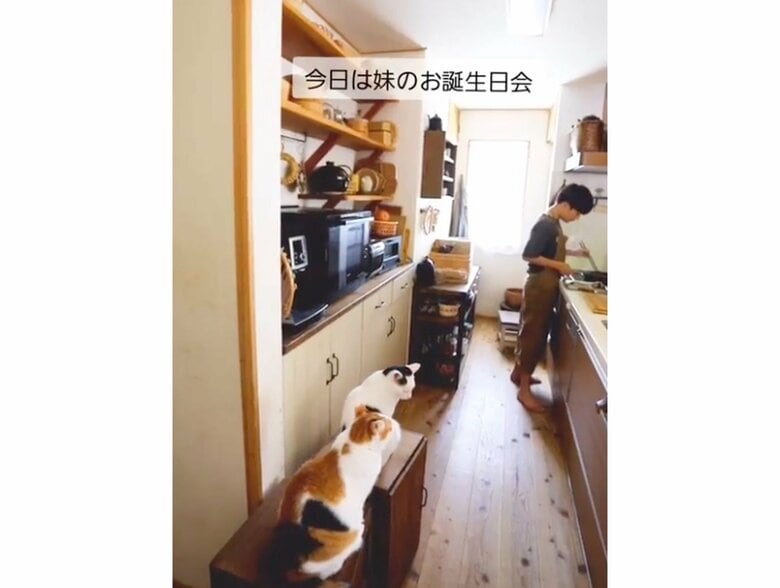 提供：ゆうこさん