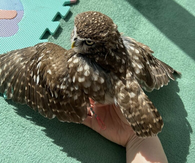 手をつかんだまま日光浴