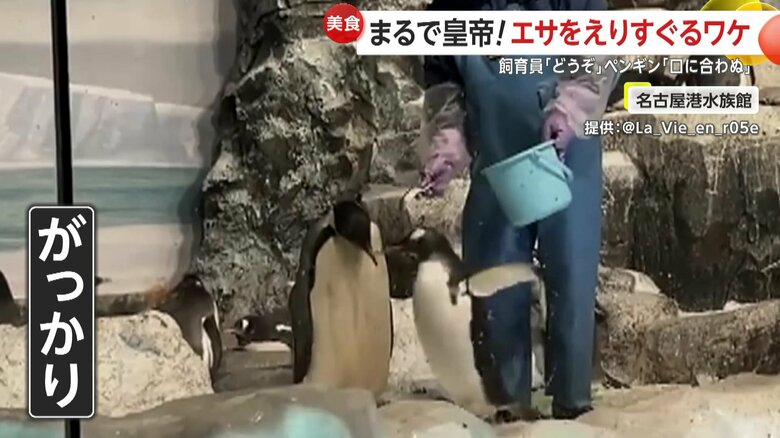 頭を下げてガッカリした様子のペンギン