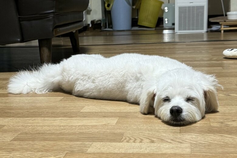 ぺたーん
