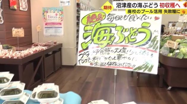 三島市のJA施設